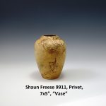 Shaun Freese 9911, Privet, 7x5”, “Vase”